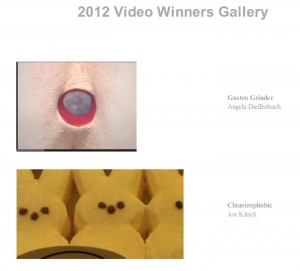Winners---Video-Gallery
